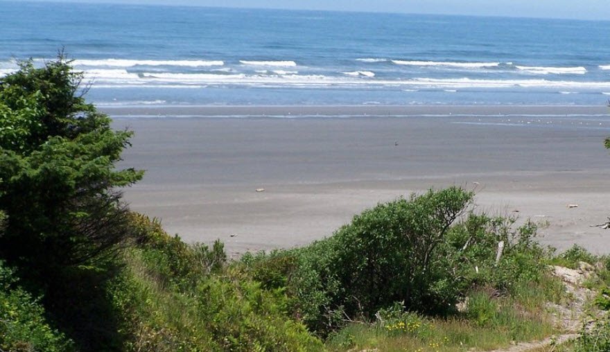 Pacific Beach State Park, Washington, USA